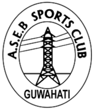 Domestic client logo